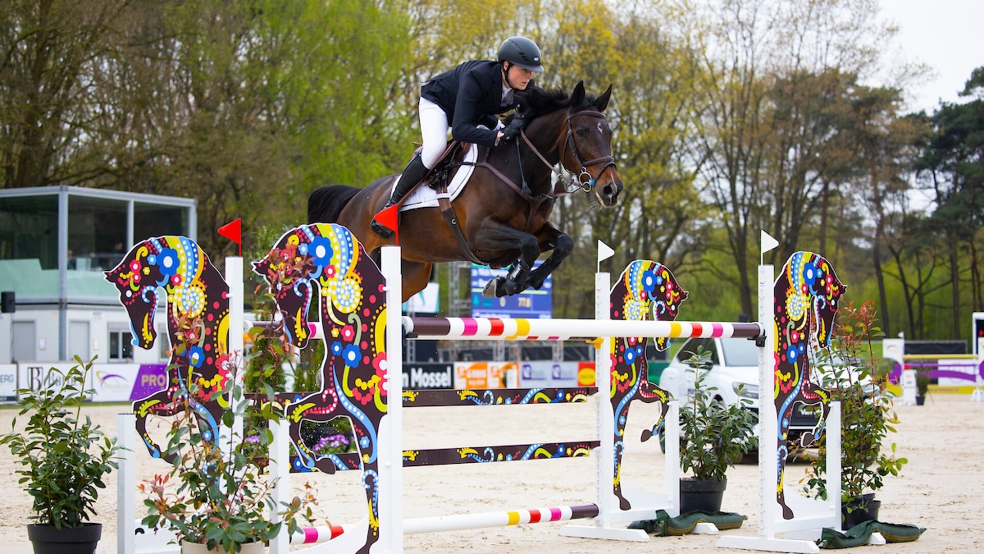 Nick Nanning - Bandia
CH Deurne 2023
© DigiShots