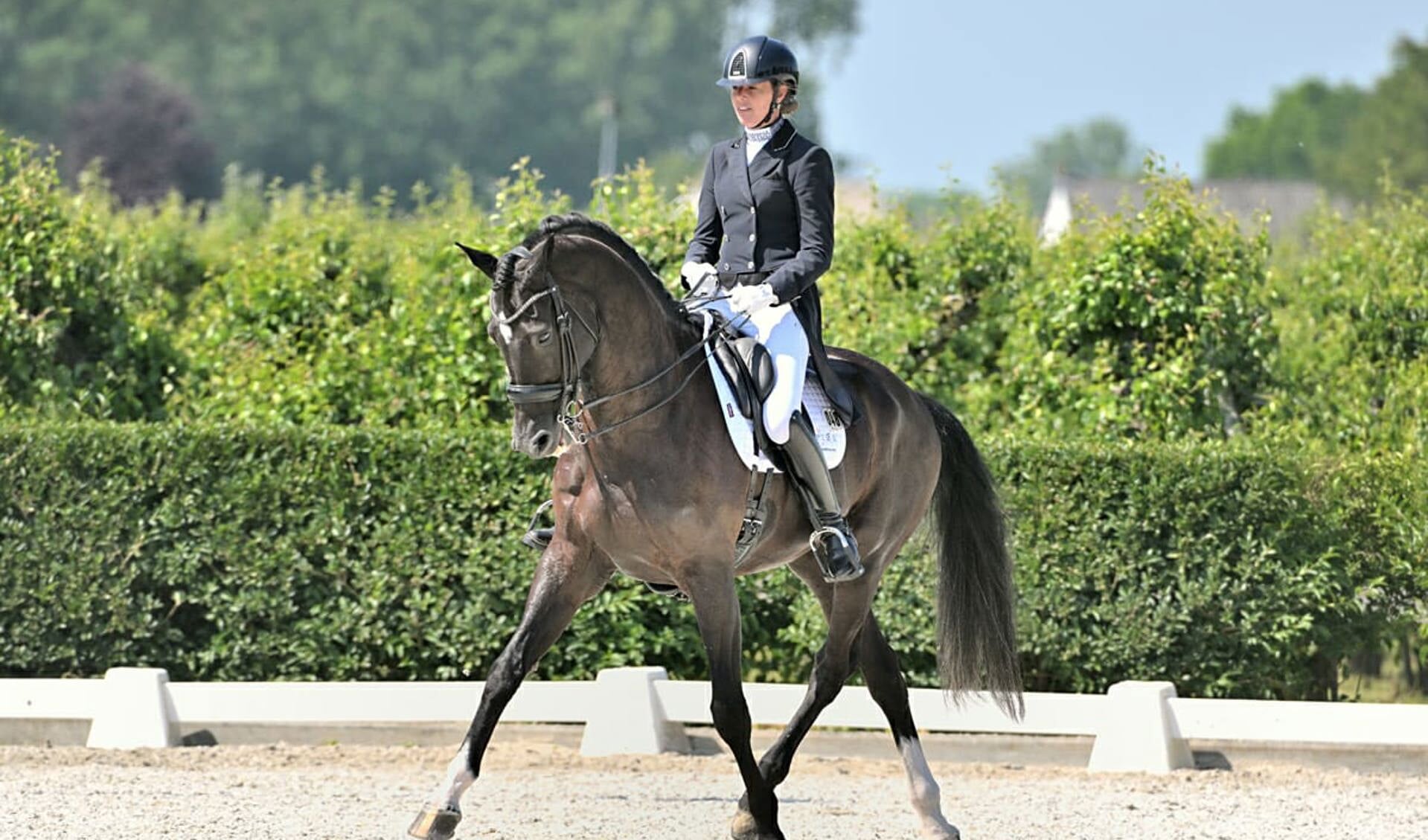 Subtop I Jolanda Pijper met Bombay tweede in de Grand Prix in Beesd: “We  zijn samen van de L1 naar de Grand Prix gegaan. Dat is onwijs leuk” - Het  onafhankelijke paarden(sport)medium