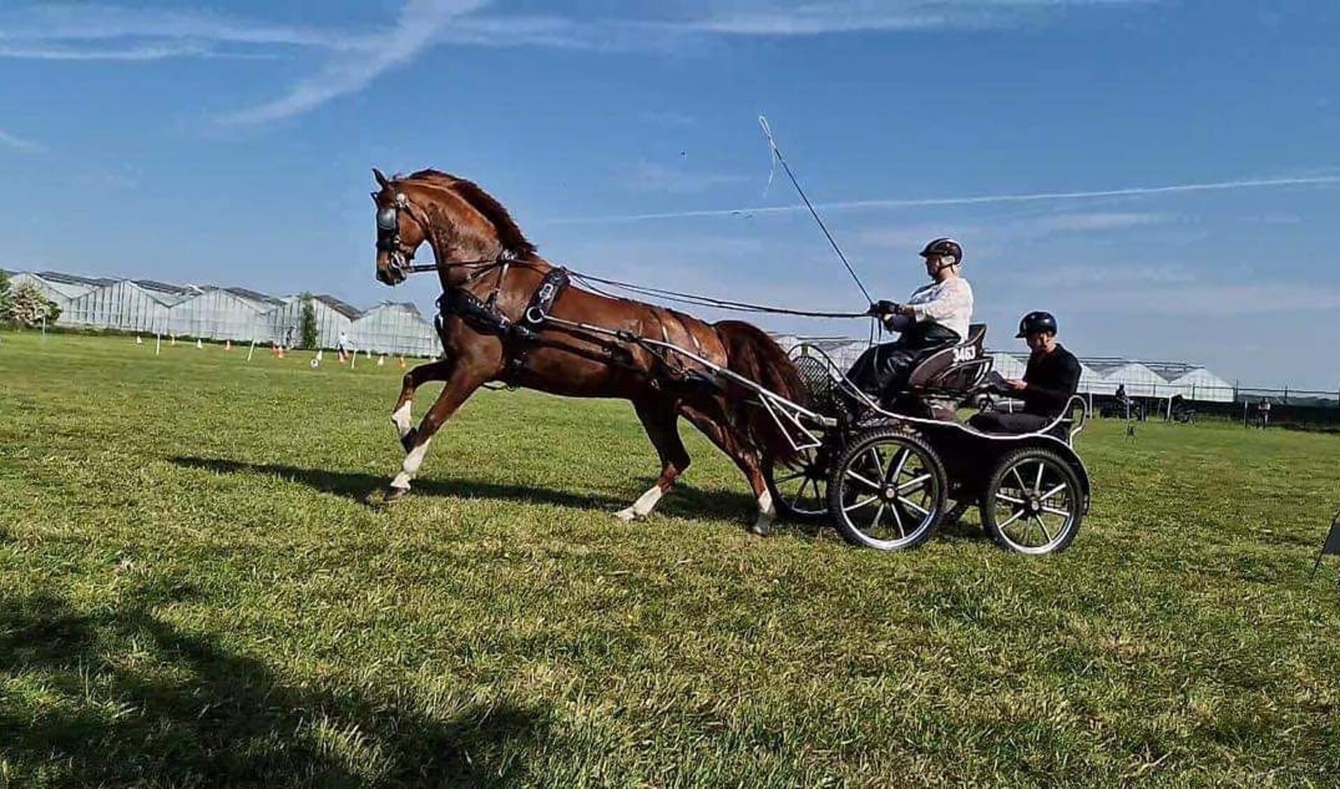 Karin Bakker met Igor (Bakboord HBC x Manno)