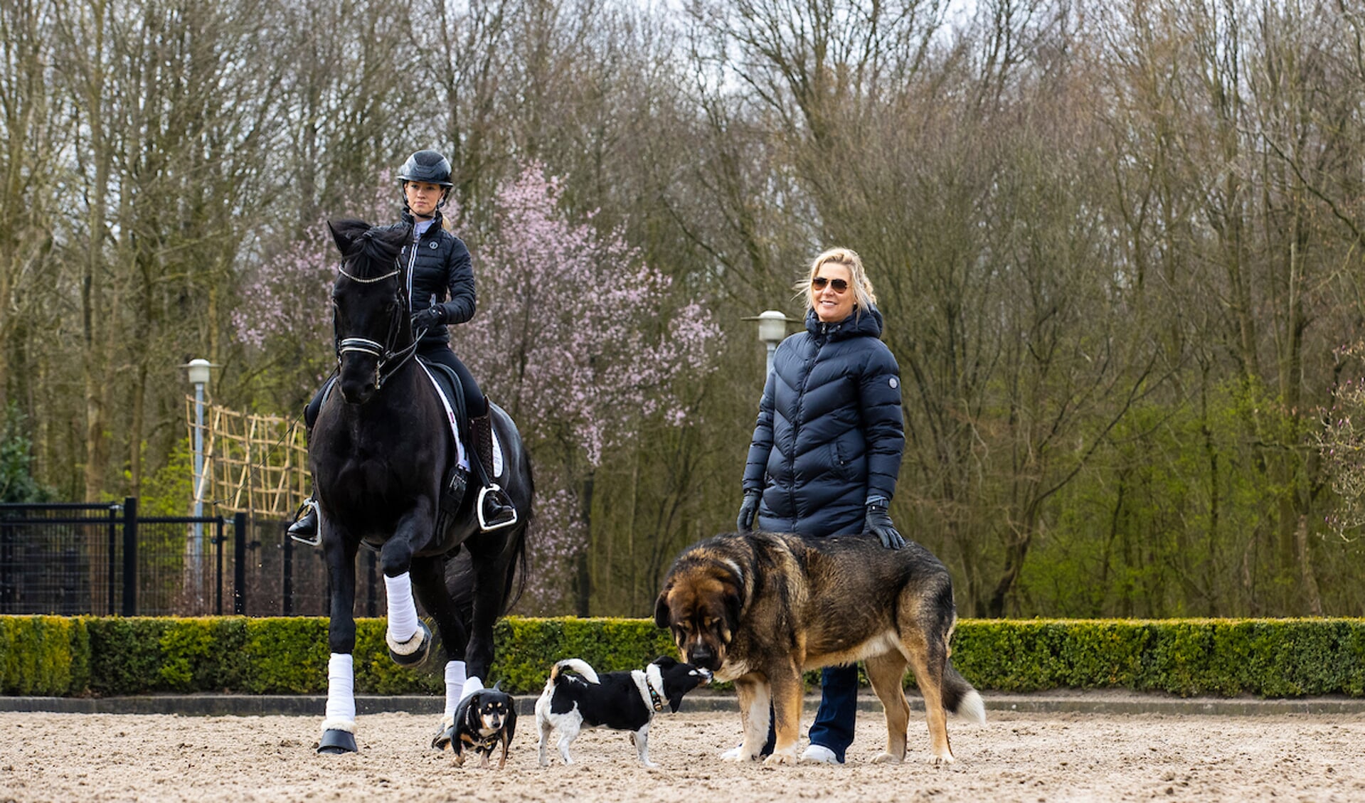 Charlotte Fry and Don Joe en Anne van Olst bij Van Olst Horses 
© DigiShots