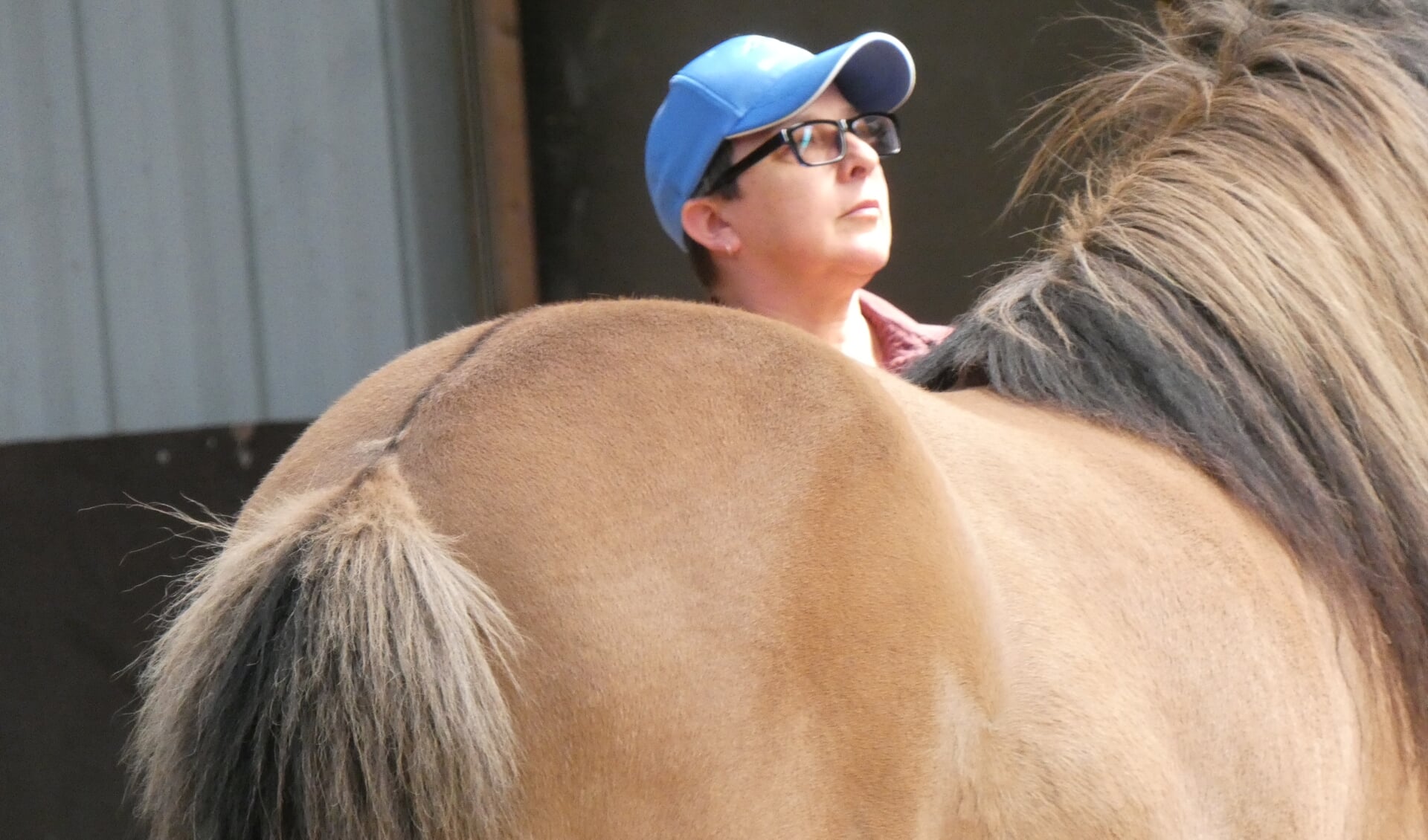 Sharon checkt of de omgeving veilig is, zodat het paard zich veilig kan voelen