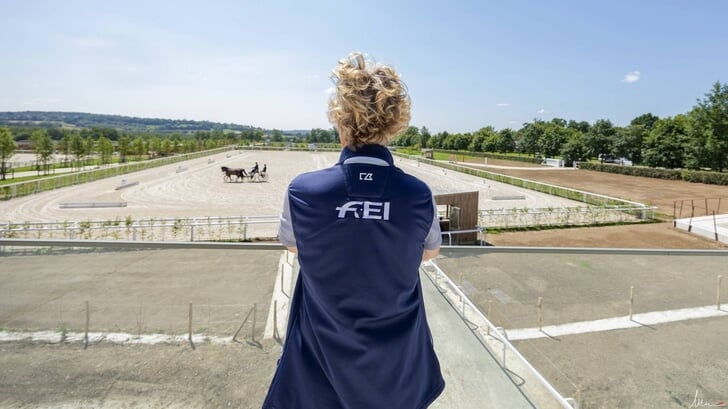 Het terrein van Le Pin au Haras