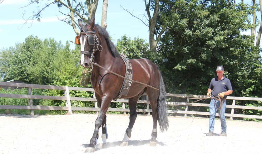 Afbeelding