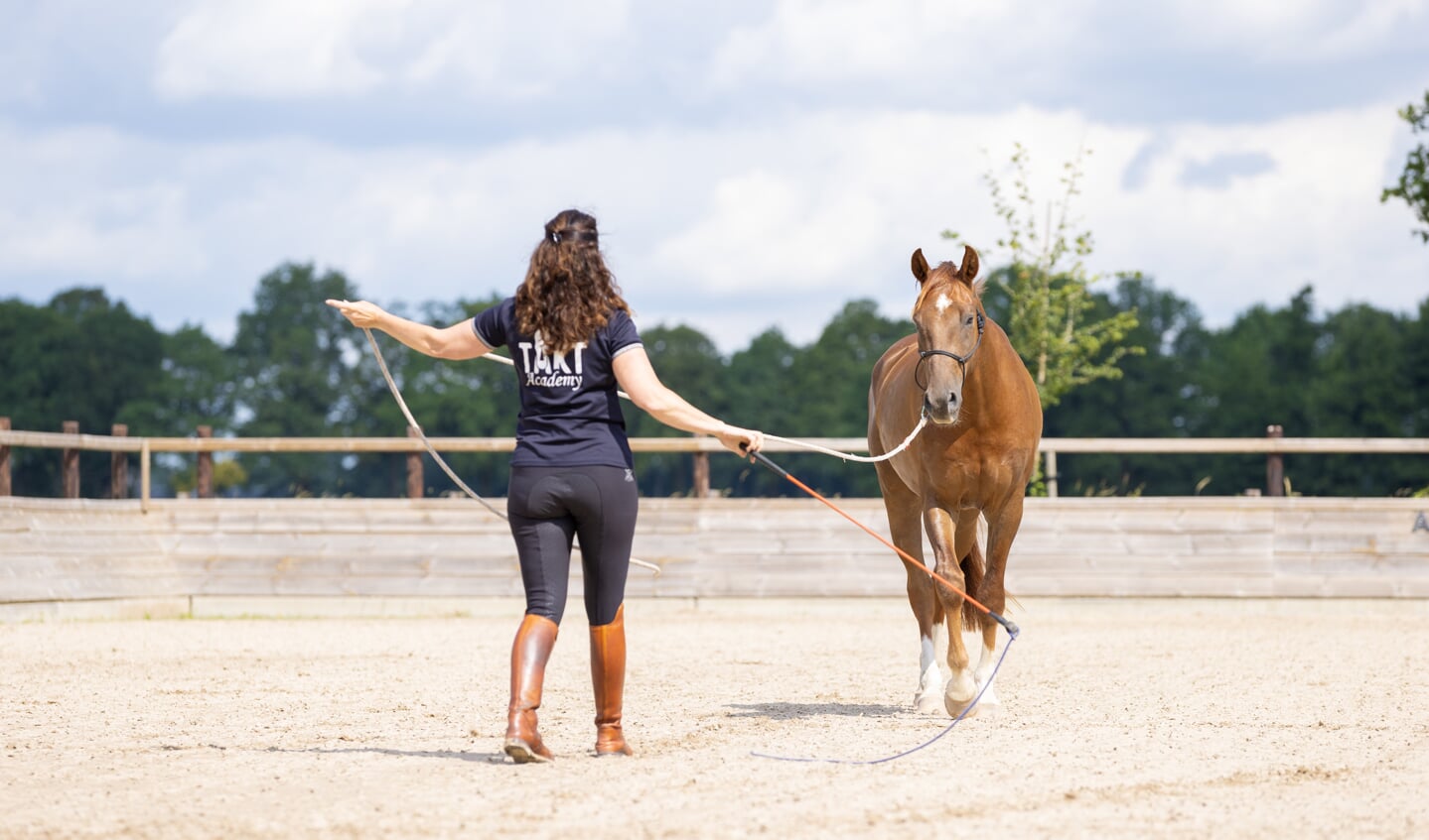 Mireille den Hoed traint een jong paard. Foto: Sabine Timman