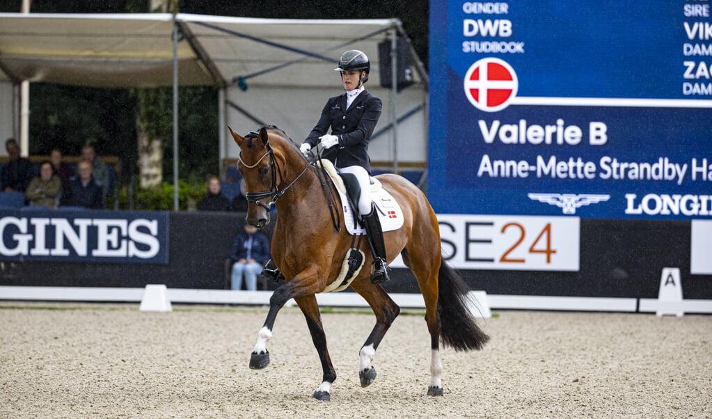 Anne Mette Strandby (DEN) - Valerie B
Longines FEI WBFSH World Breeding Dressage Championship for Young Horses
© DigiShots