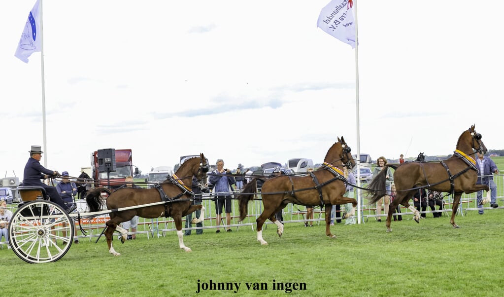 De Roelofsen Horse Trucks randemkampioenen.