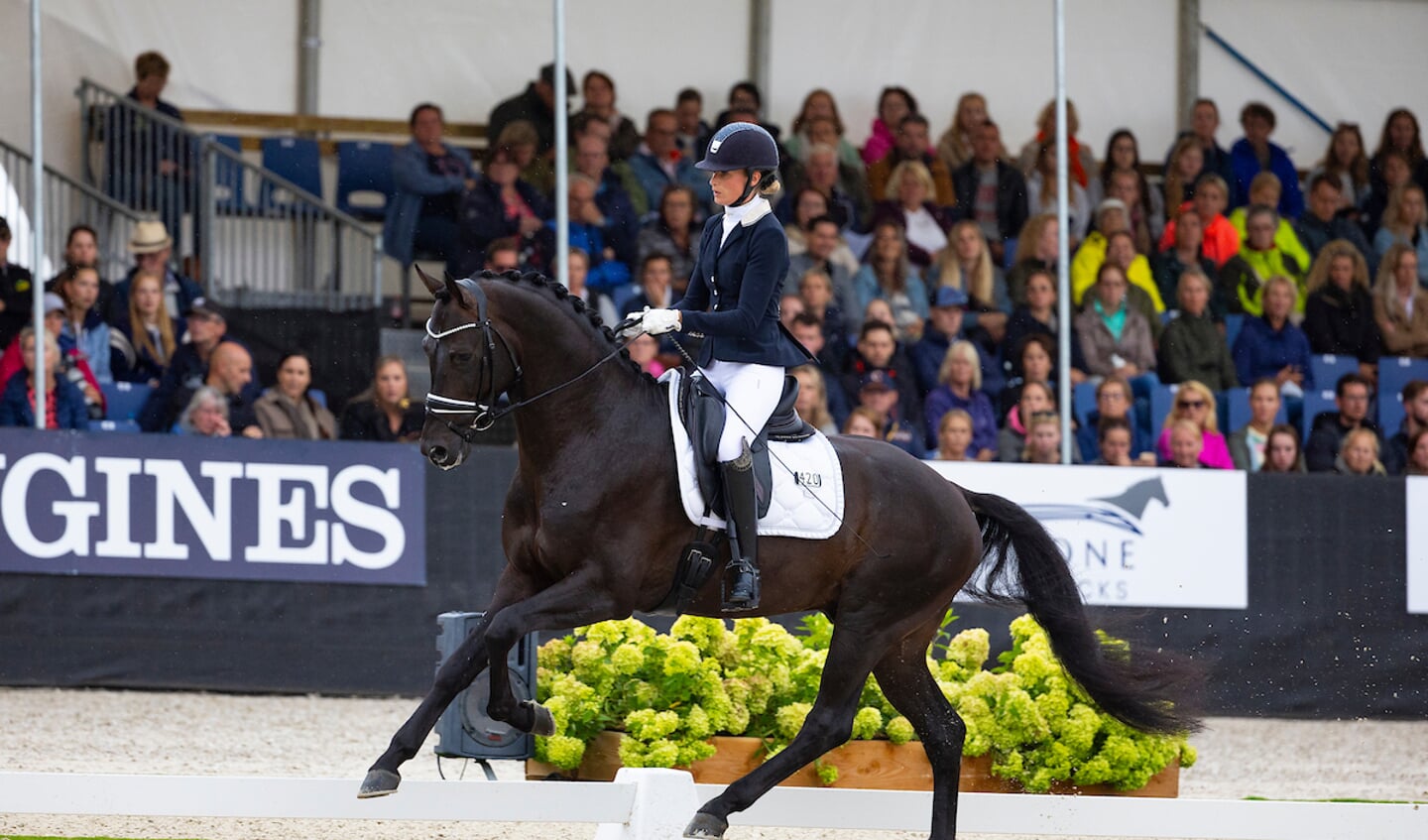Dinja van Liere - On Air
Longines FEI/WBFSH World Breeding Dressage Championships for Young Horses 2023
© DigiShots