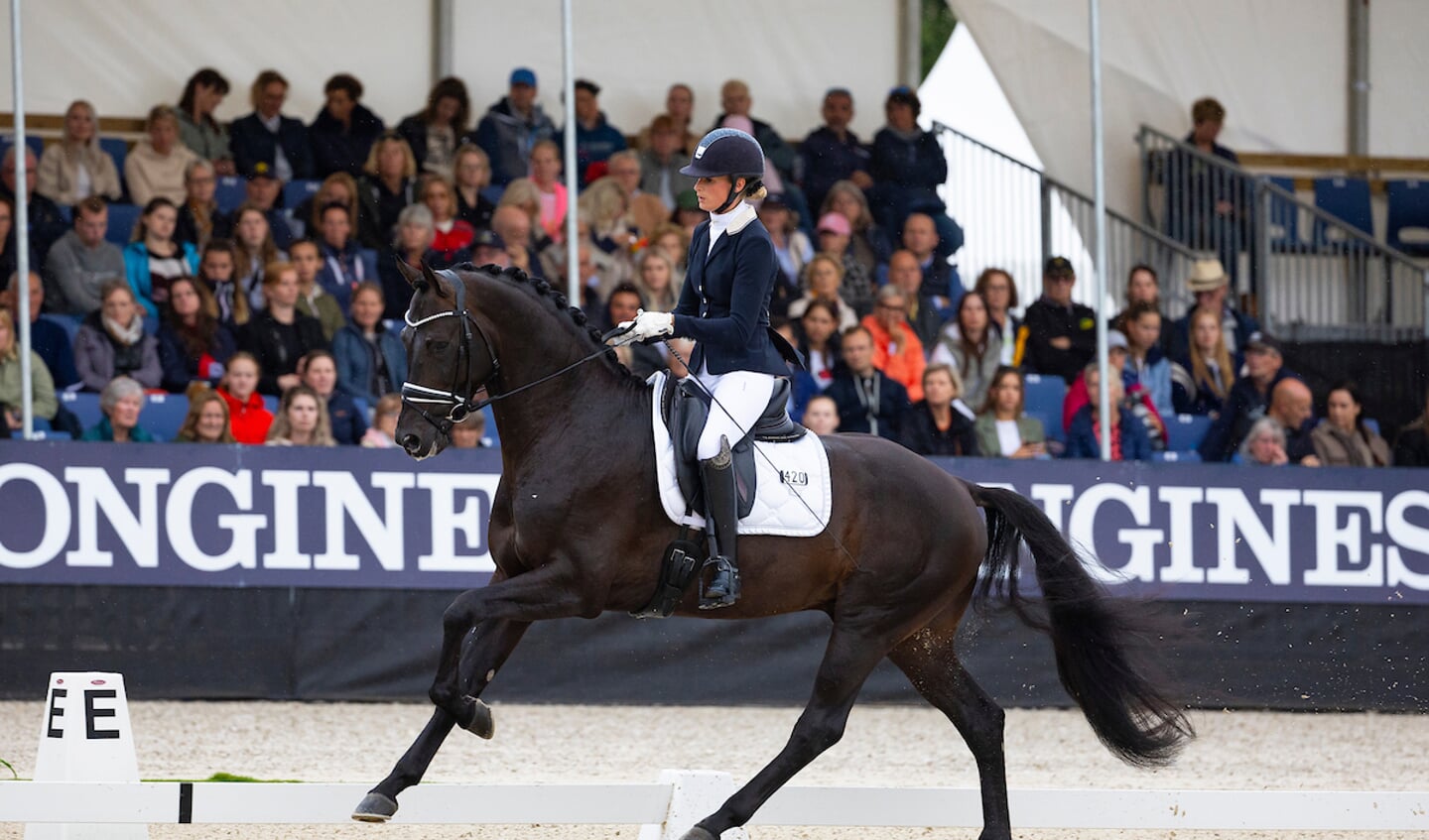 Dinja van Liere - On Air
Longines FEI/WBFSH World Breeding Dressage Championships for Young Horses 2023
© DigiShots