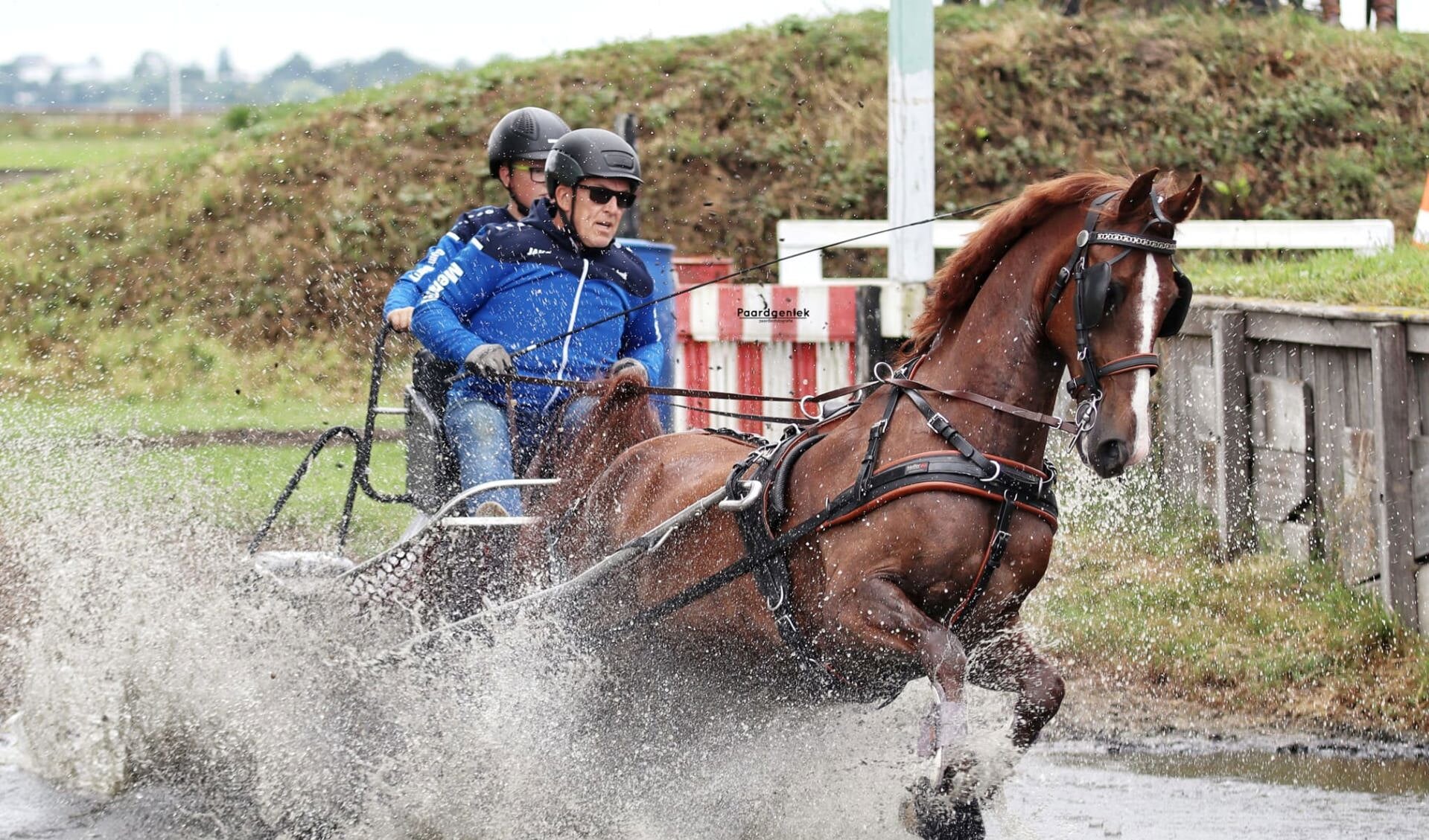 Gerard Schenk en Vito
