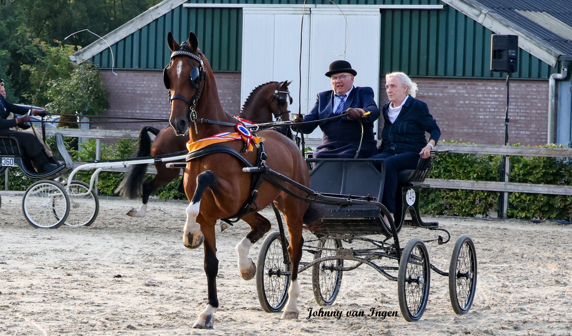 Orion, de kampioen vierjarigen met Piet en Greet Lijffijt.