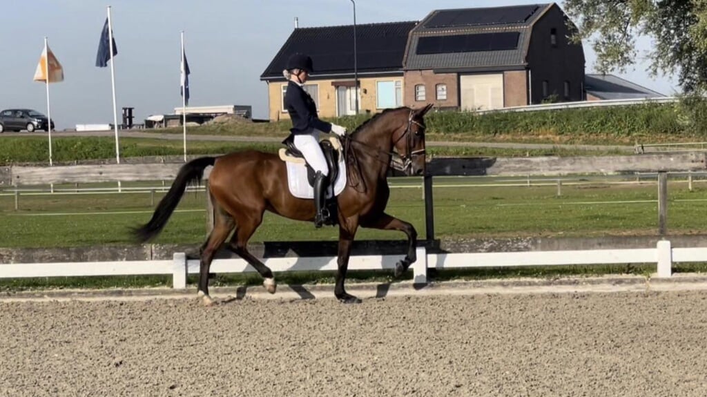 Afbeelding