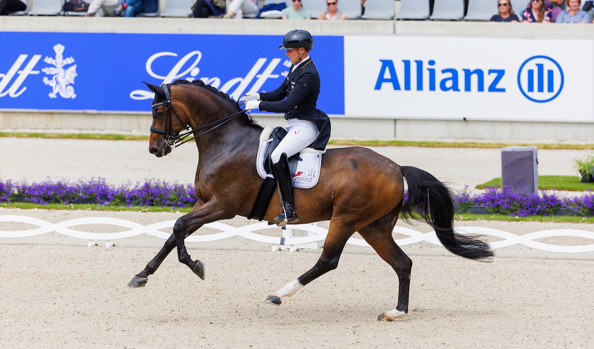 Frederic Wandres (GER) - Quizmaster FRH
World Equestrian Festival CHIO Aachen 2023
© DigiShots