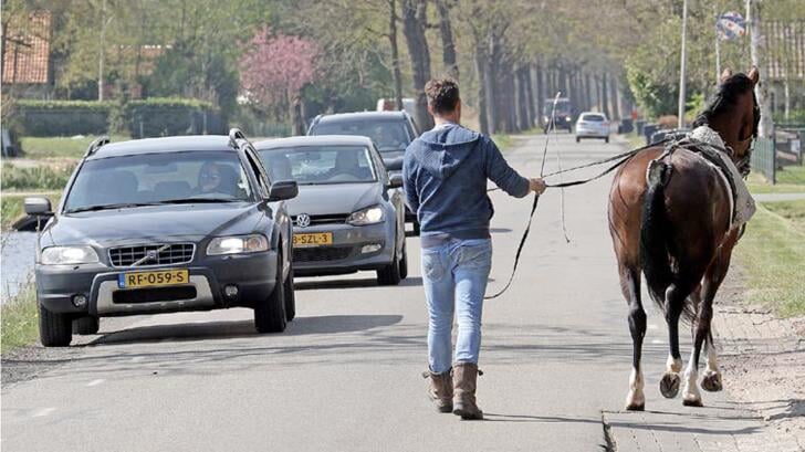 De vuurdoop in het verkeer is veiliger aan de lange lijnen dan voor de wagen