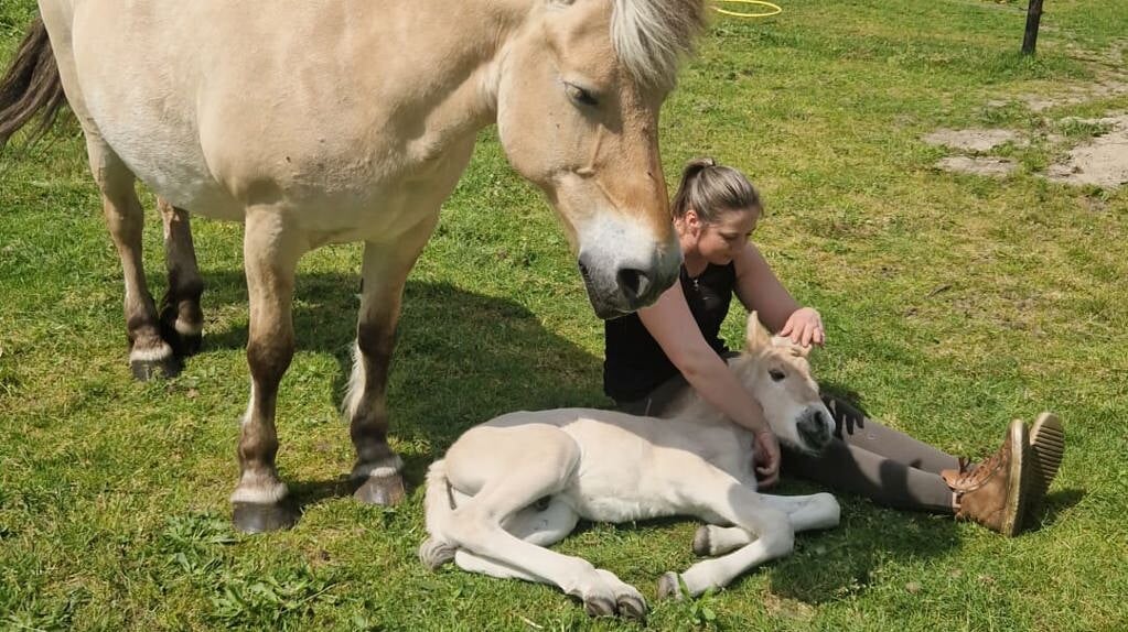 Lieke, Dinarda en Vynn