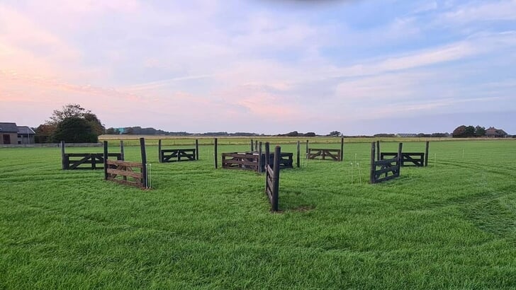 Hindernis SWM Texel 2024