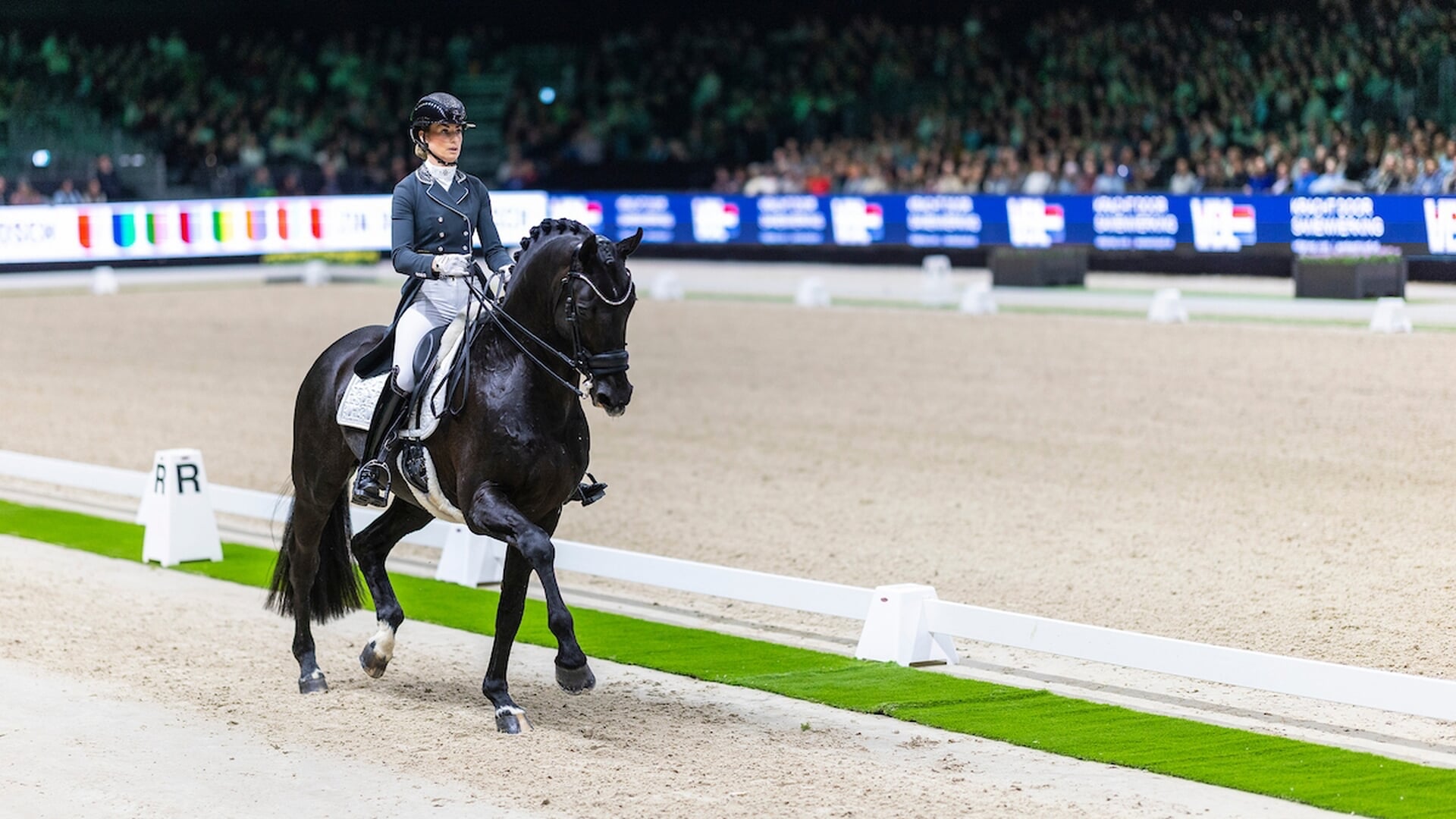 Geen wereldbekerfinale dressuur voor TeamNL en Dinja van Liere - Het onafhankelijke paarden(sport)medium