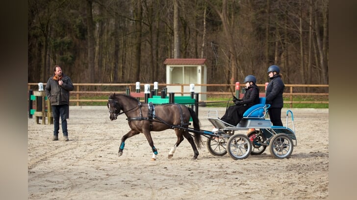 MP Horses; Media Primair; Bit; Cap; Hoefslag; Mensport; Manegeruiter