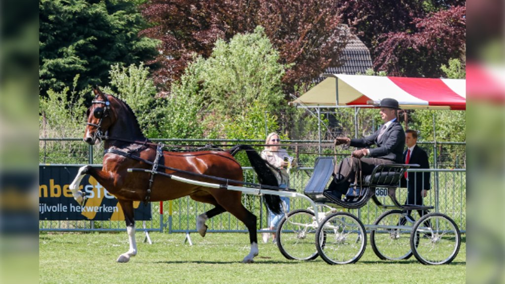 Phaedra-Izolanda pakte na Houten ook de regionale titel in Doornspijk met Harry van Middelaar