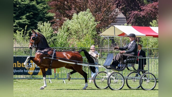 Phaedra-Izolanda pakte na Houten ook de regionale titel in Doornspijk met Harry van Middelaar