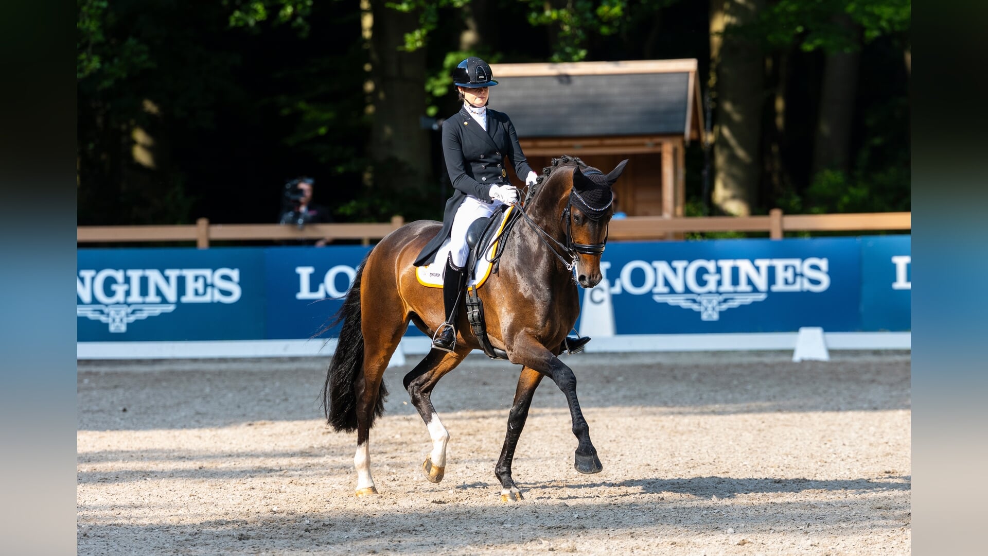 CHIO Rotterdam | Sophie Reef wint EK observatie U25 - Het ...