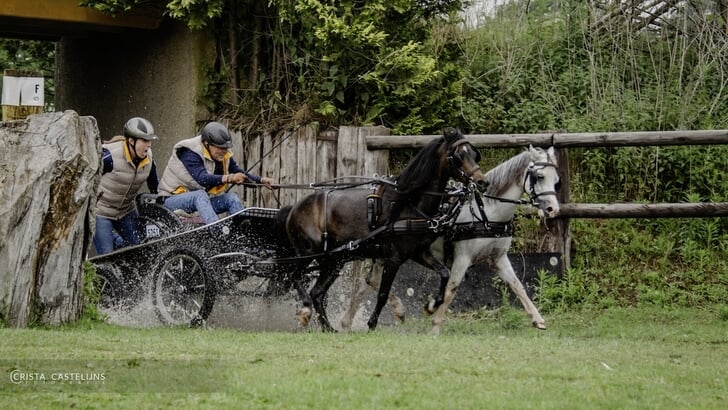 Ad van Beek tijdens de marathon in Eersel. Door zijn overwinning in de dressuur won hij de rubriek tweespan pony's klasse L