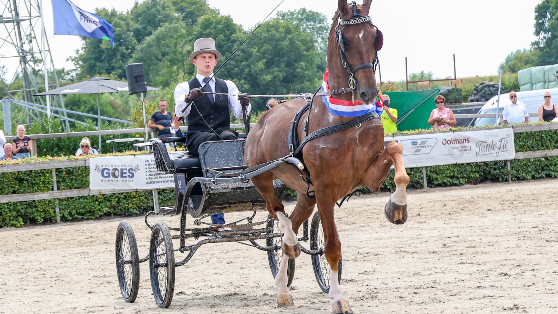 Young Riderskampioenen King en Davy Jordans.