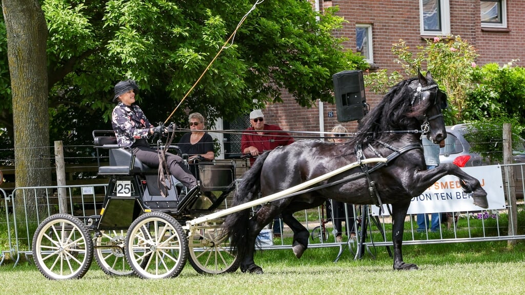 Gouverneur van 't Hertefean, de nieuwe regionale Dameskampioen.