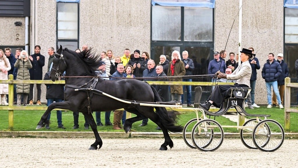 De hoogste score in het KFPS Centraal Onderzoek was vorig jaar voor Pelle 545.