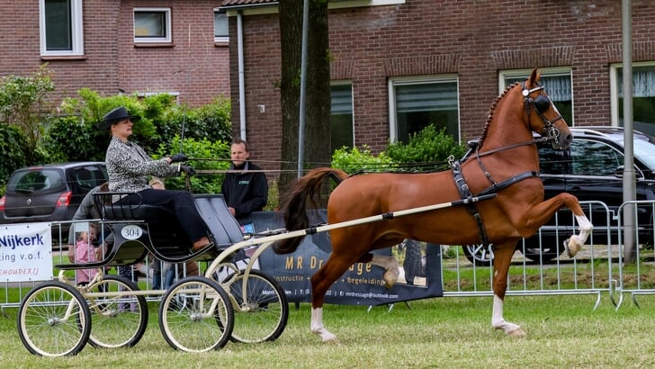 Ozandro met Joyce Hoving.