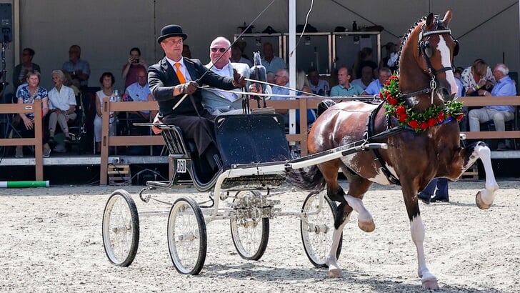 Olympus HS is de nieuwe winnaar van de Manno Trofee.