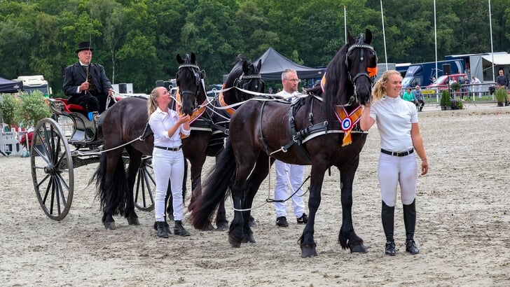 De van de Lits paarden zijn nu ook de kampioenen in de klavertje drie.