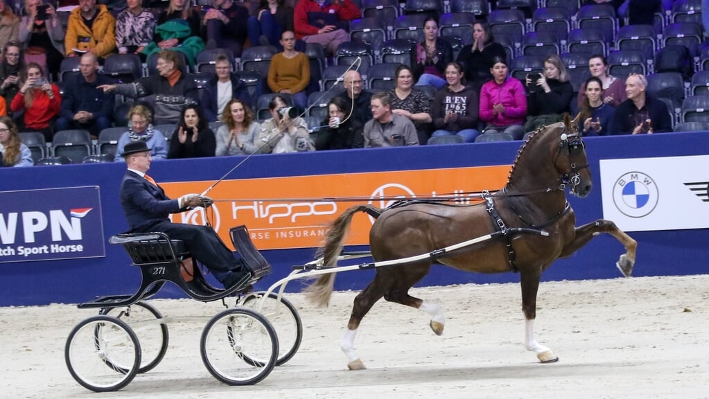 Ook de goedgekeurde hengst Heliotroop, hier met Henk Hammers, zal een fraaie show weggeven...