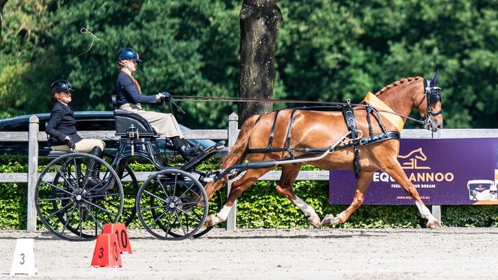 Kim de Groot Hippiade kampioen met Nareska