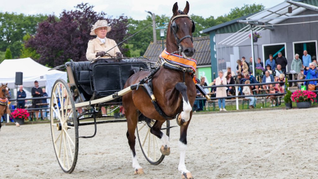 Renvyle Imondro met Anneke Borkent