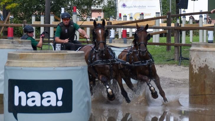Koen van Aarle met Maximus en Nivitha M