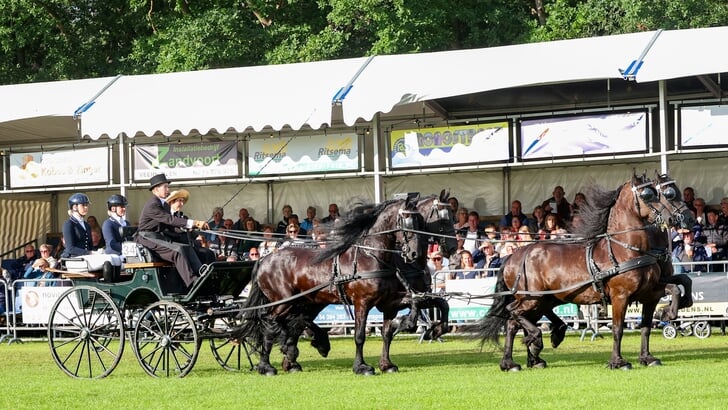Stal Okkema's kampioenen -Nero, -Markys, -Wesley en -Cees met de jongste vierspankampioen Jelte Hoekstra.