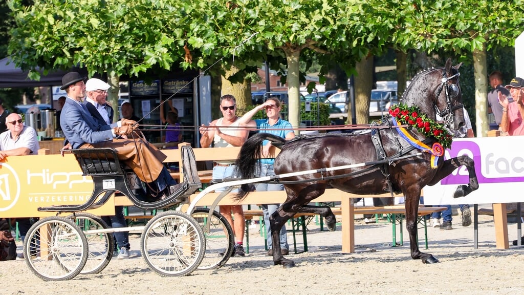 Overtuigend grijpt Mureda de titel Topsportmerrie 2025.