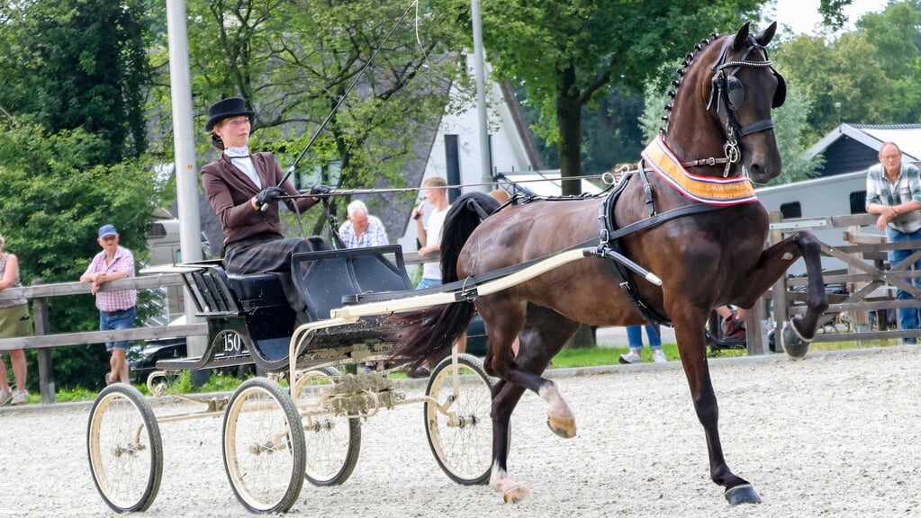 Dameskampioen Petrona in de Hellendoornse piste.