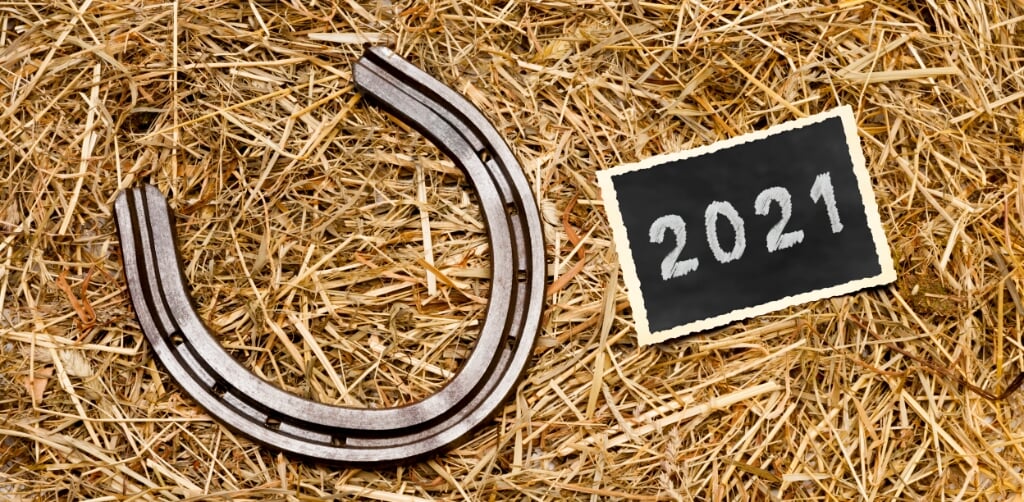 Horseshoes in the straw with photo 2021
