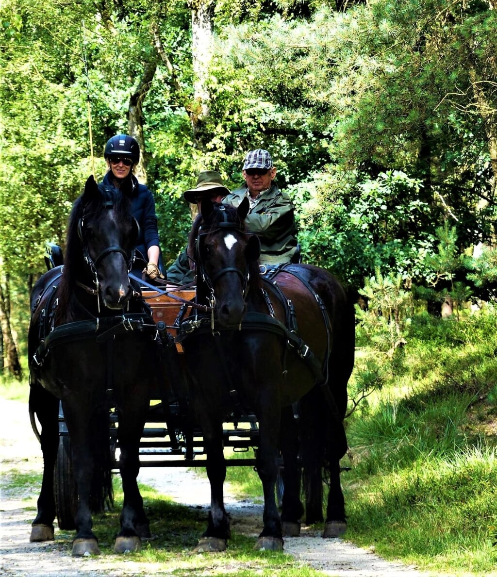 Elaine Göbel met de Merens-paarden Zorro en Barca tijdens de Veluwerit in 2017, met naast haar schoonvader Theo Onstein. De pet van vaste menmaatje Paul van Berkum is ook nog net zichtbaar. 