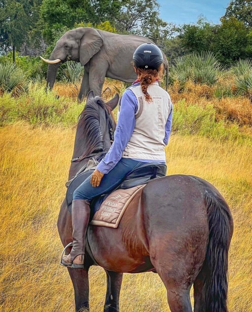 Rijden tussen olifanten in Botswana. Voor op je bucketlist: een safari te paard.