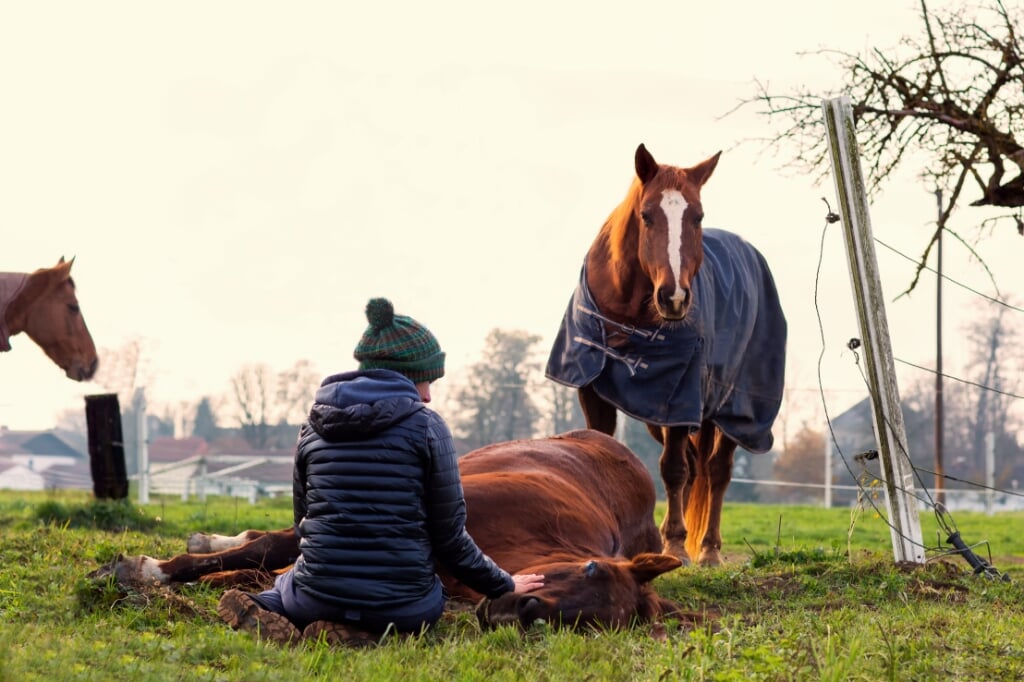 Zowel mens als paard hebben baat bij het rustig afscheid kunnen nemen van hun dierbare vriend.