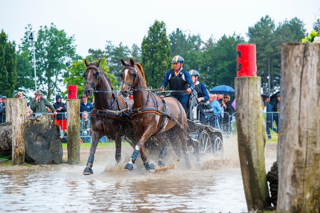 Tor van den Berge
FEI Driving World Championship for Pairs Limburg 2021
© DigiShots