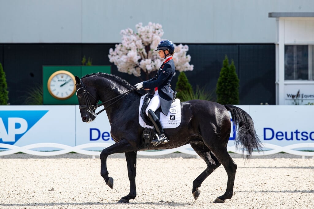 Charlotte Fry - Glamourdale
World Equestrian Festival CHIO Aachen 2021
© DigiShots