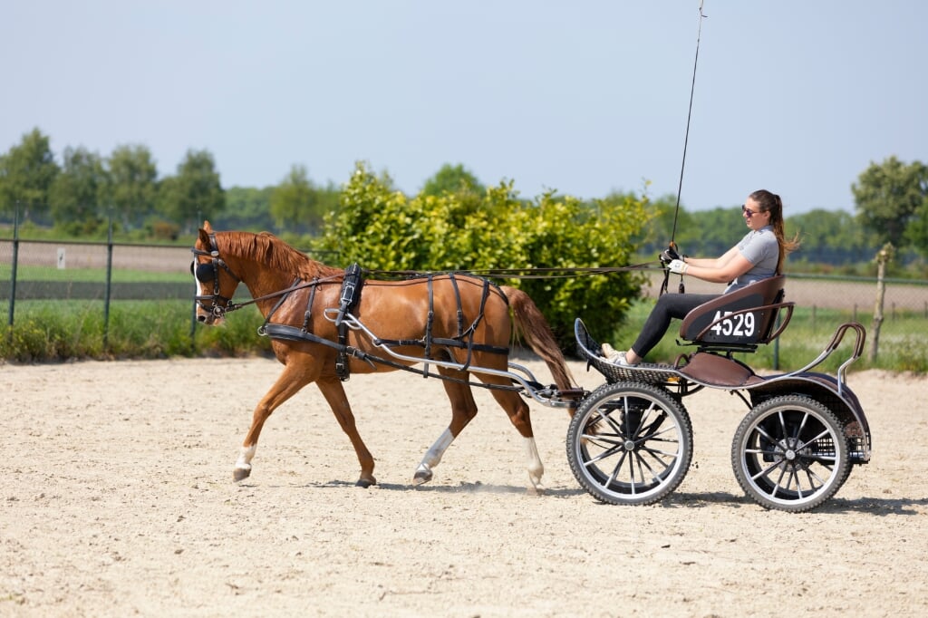 Berry van den Bosch, instructie, training, Astrid Weijts, Special One, enkelspan, pony