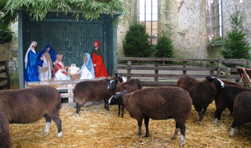 Broerekerk-Kerststal 002 23-12-2004