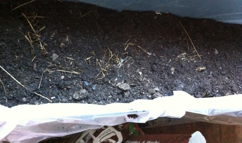 Bokashi compost