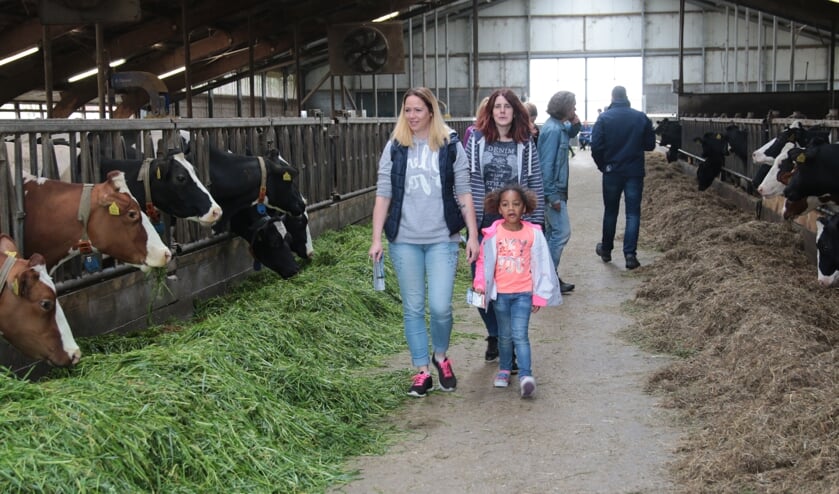 Staldeuren open in Reduzum