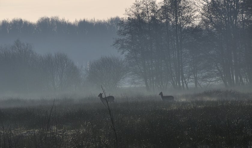 KatlijkerSkar - Excursie Fryske Gea