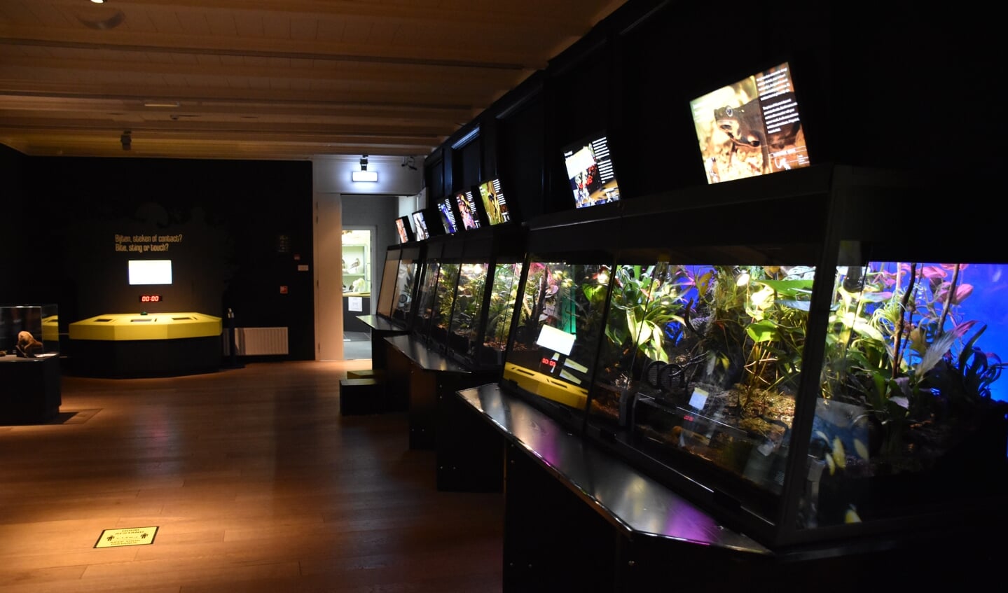 GIF expositie in het Natuurmuseum Fryslân